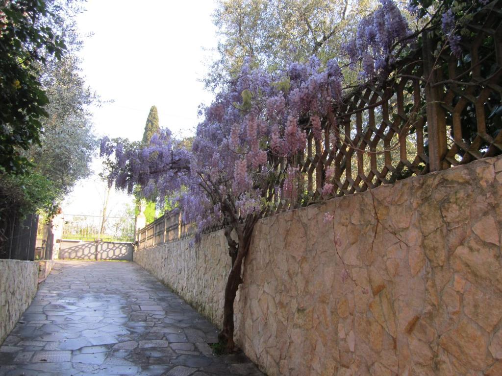 B&B Al Calcandola Сарцана Екстериор снимка